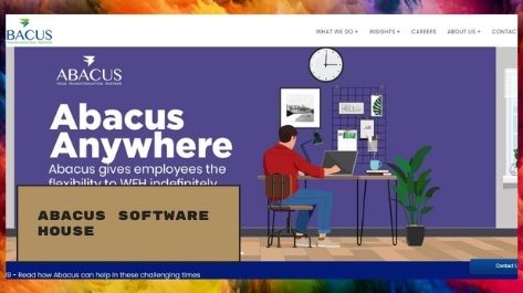 Abacus Consulting Best Software house in Pakistan