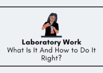 Laboratory Work What Is It And How to Do It Right