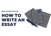 How To Write an Essay [Full Guide in 2022]