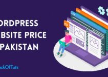 WordPress website price in Pakistan [Complete detail in 2022]