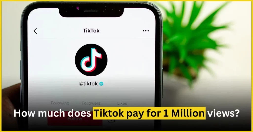 TikTok Pays for One Million Views