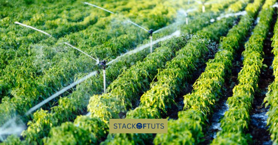 Automated Irrigation Systems: smart agriculture using artificial intelligence