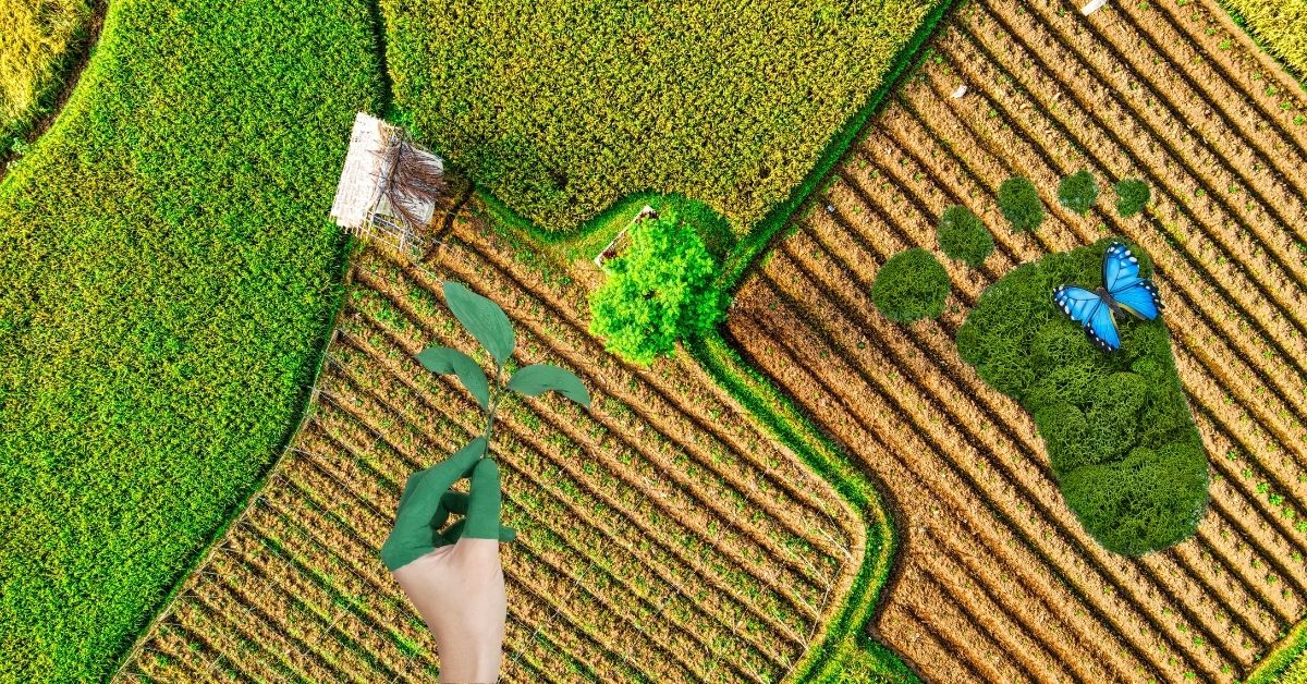 AI is making farming more Sustainable