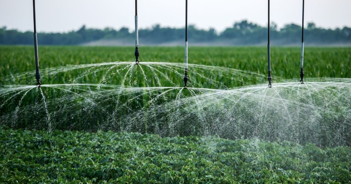 Automated Irrigation Systems with AI