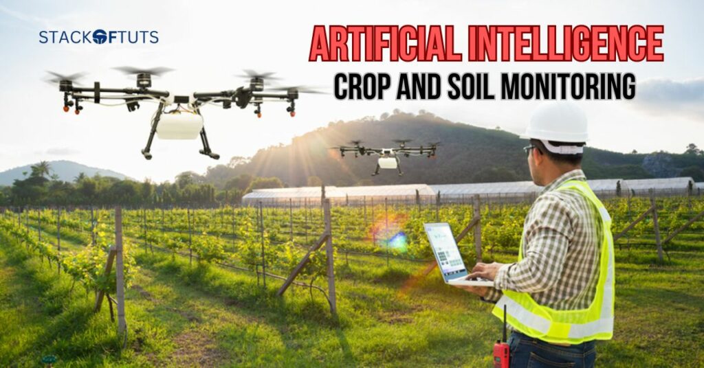 Crop and soil monitoring using AI